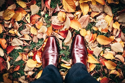 人穿着棕色鞋子站在褐色的叶子
